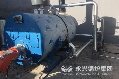 [宁夏中卫]阜康生物科技股份有限公司0.7MW热水锅炉